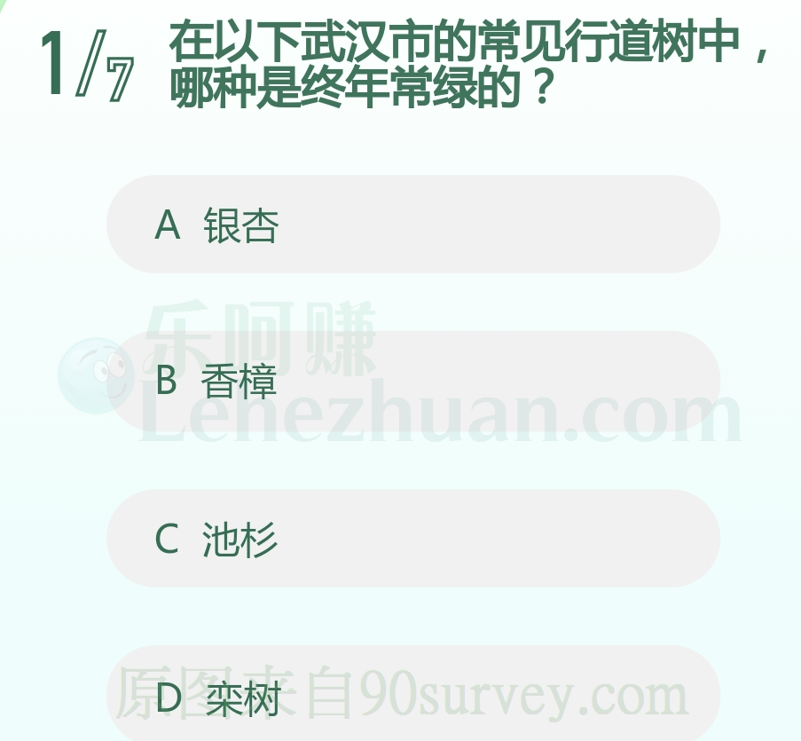 在以下武汉市的常见行道树中,哪种是终年常绿的?