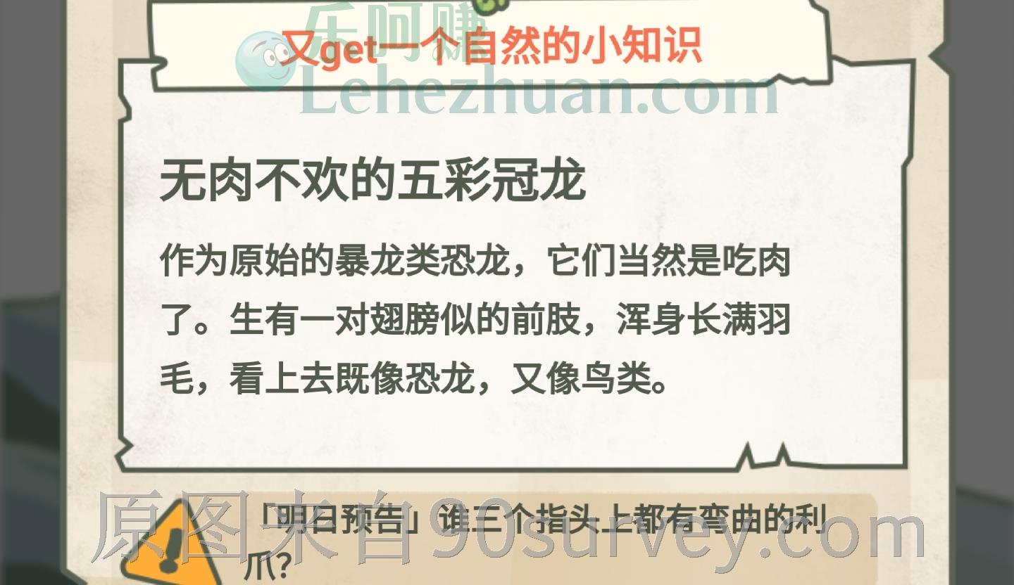 无肉不欢的五彩冠龙
