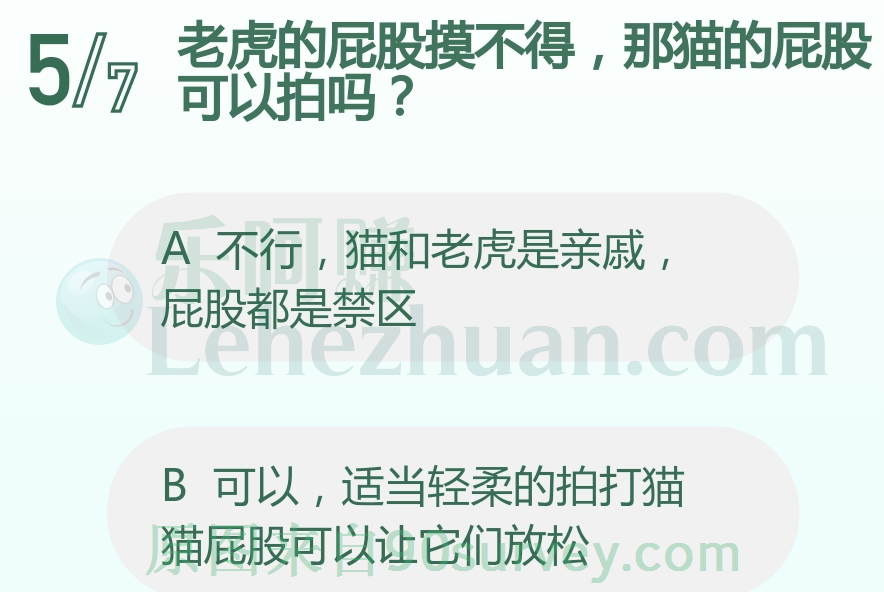 老虎的屁股摸不得,那猫的屁股可以拍吗?