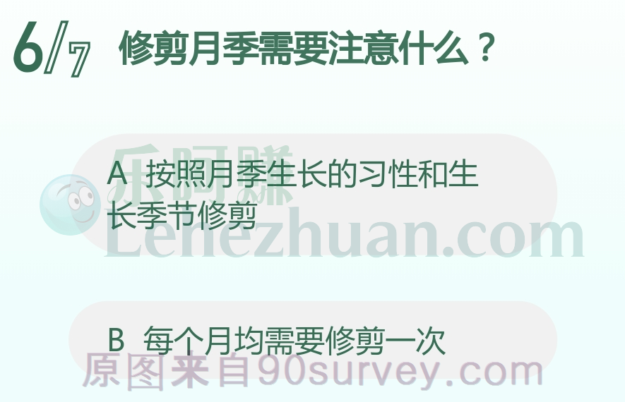 修剪月季需要注意什么?