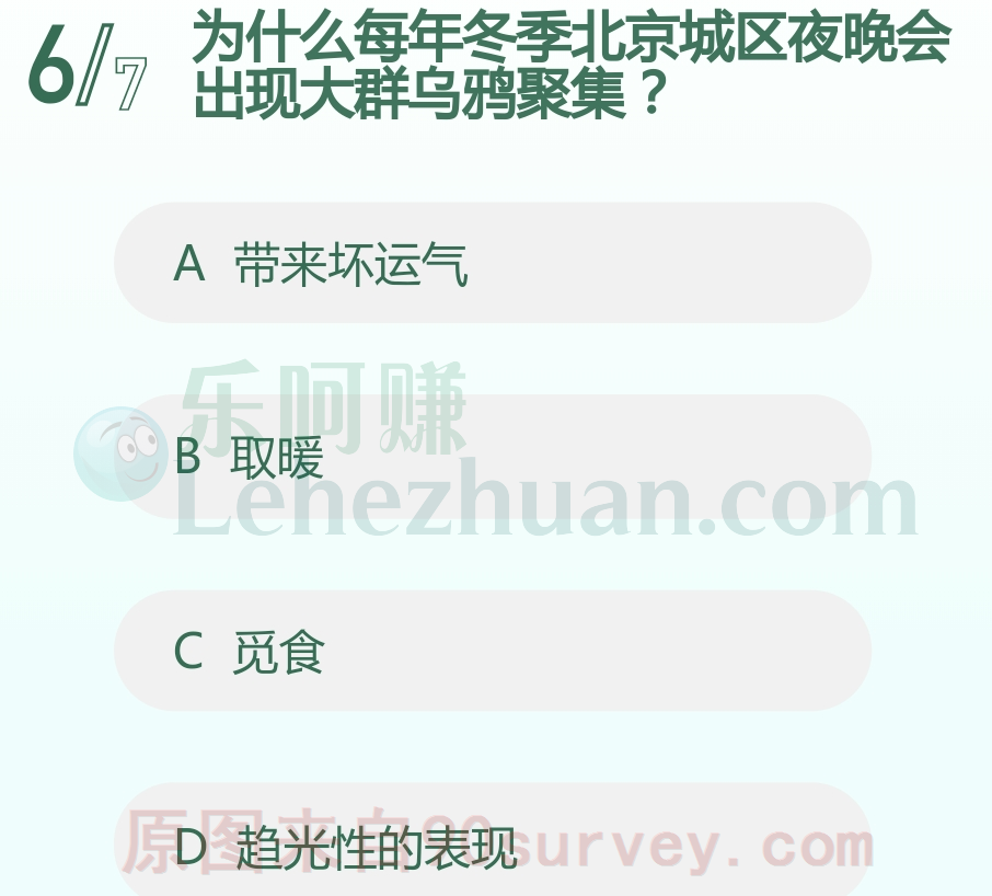 为什么每年冬季北京城区夜晚会出现大群乌鸦聚集?