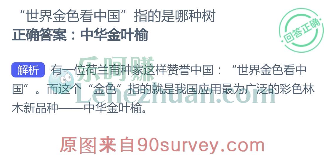 “世界金色看中国”指的是哪种树？