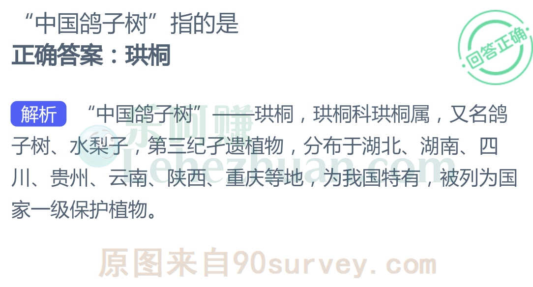 “中国鸽子树”指的是?