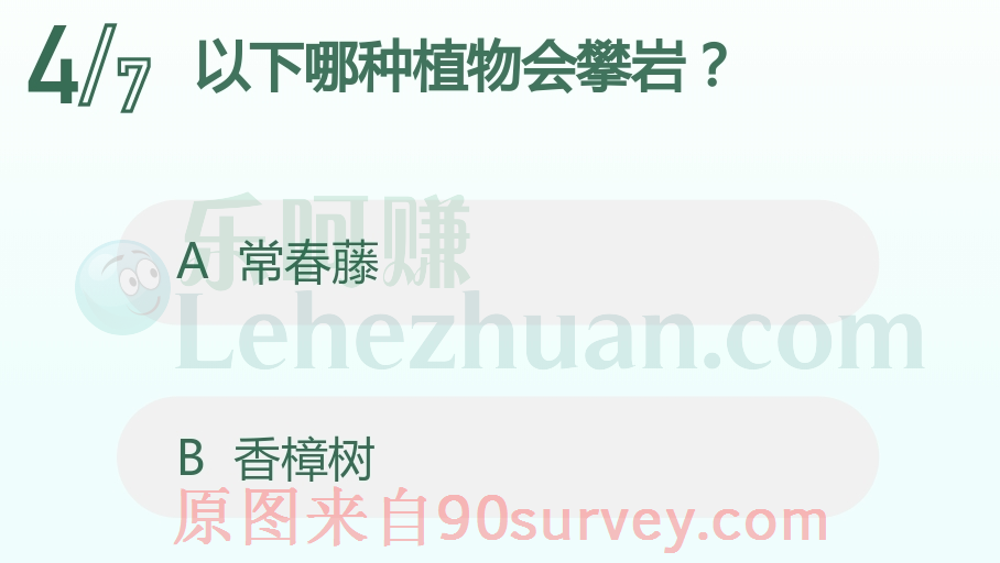 植物常春藤会攀岩 植物常春藤会攀岩