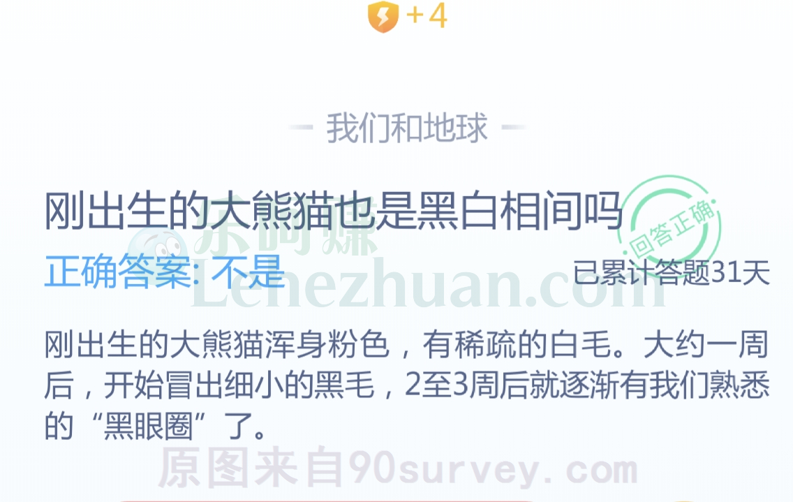 刚出生的大猫也是黑白相间吗?