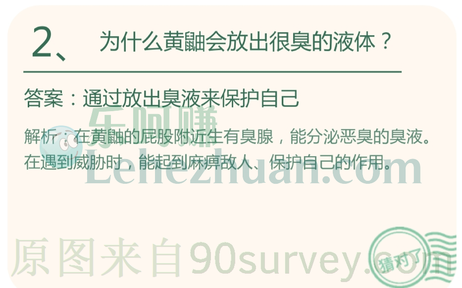 为什么黄鼬会放出很臭的液体?