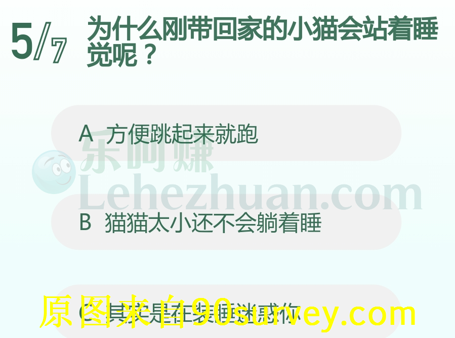 刚带回家的小猫站着睡觉呢是为了方便跳起来就跑