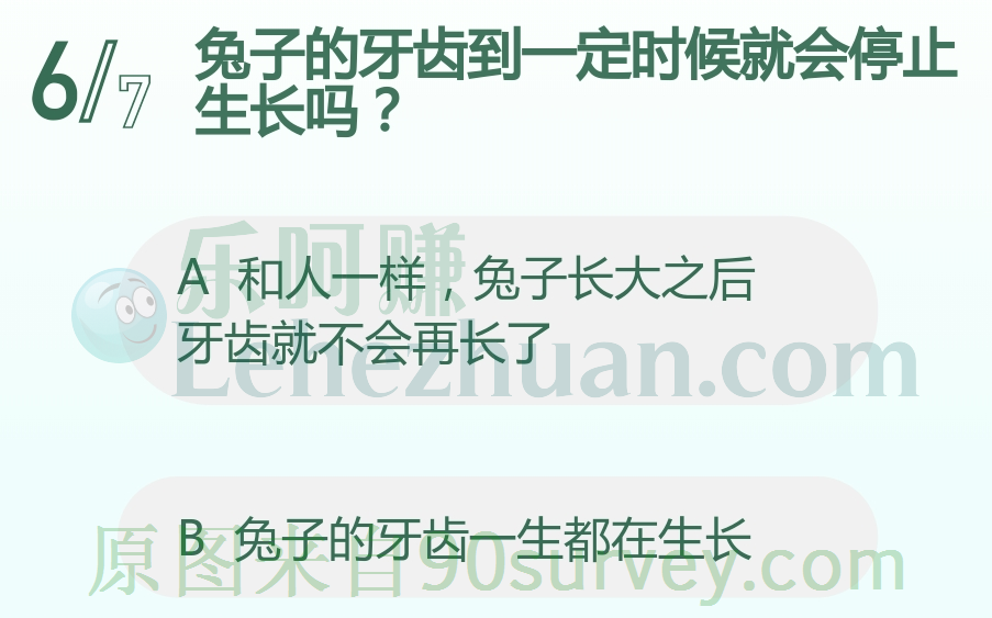 兔子的牙齿一生都在生长 兔子的牙齿一生都在生长