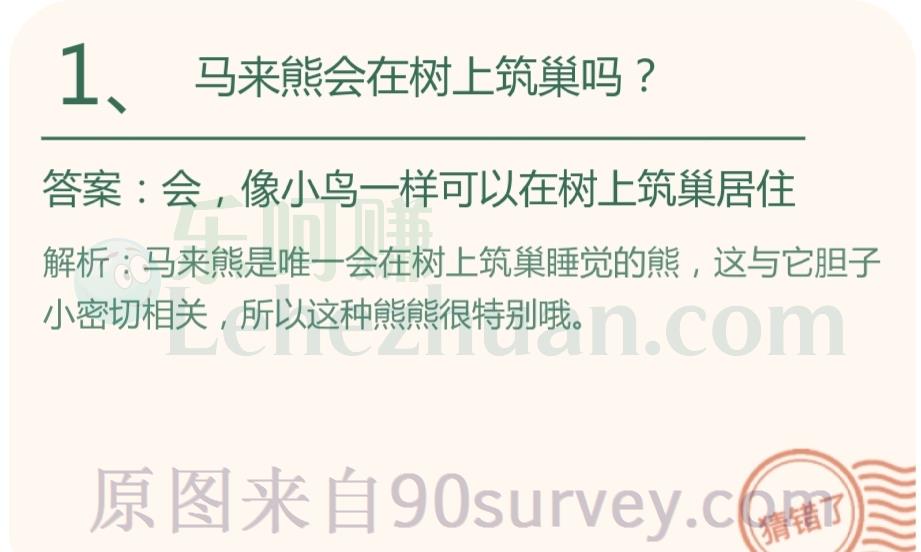 马来熊会在树上筑巢吗?
