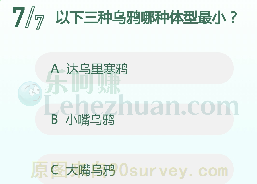 以下三种乌鸦哪种体型最小?