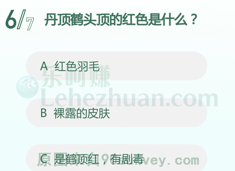 丹顶鹤头顶的红色是什么?