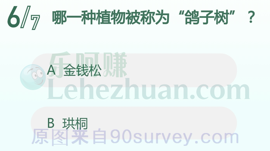哪一种植物被称为“鸽子树”？