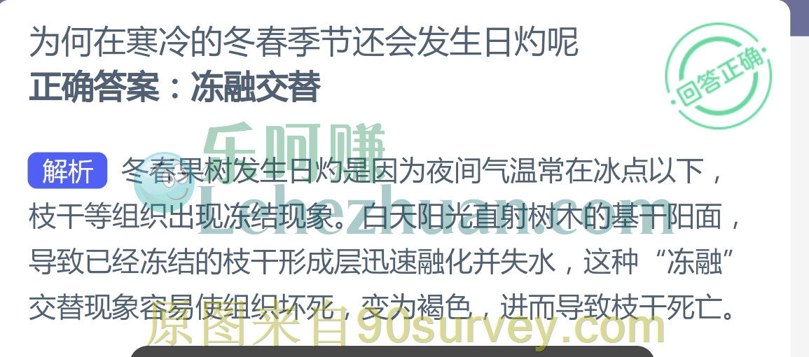 为何在寒冷的冬春季节还会发生日灼呢?