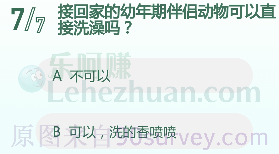 接回家的幼年期伴侣动物可以直接洗澡吗?