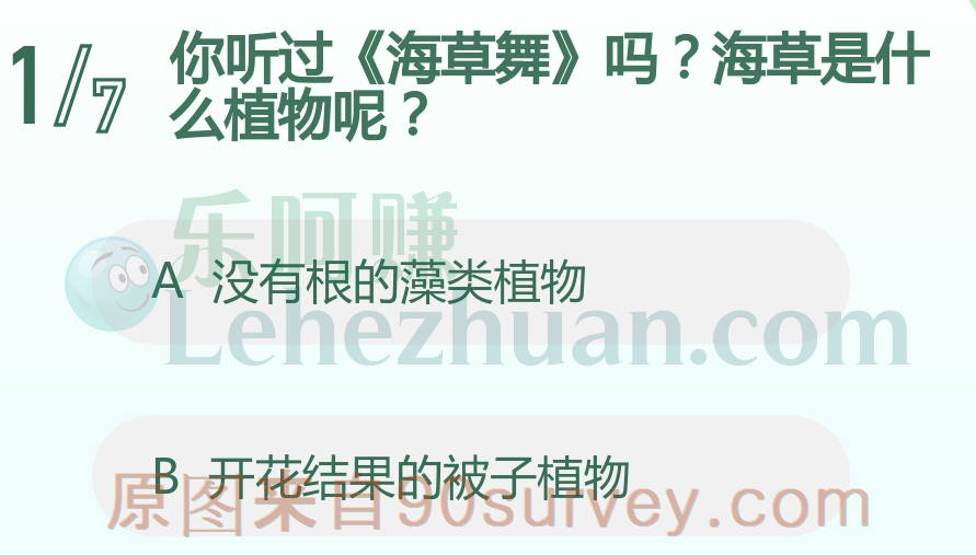 海草是什么植物呢?