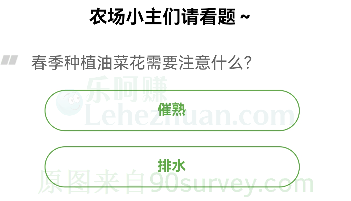 春季种植油菜花需要注意什么?