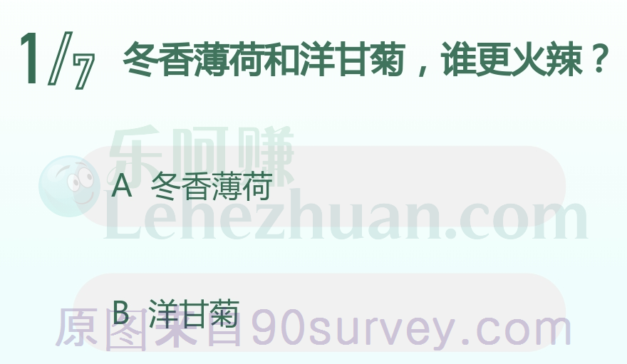 冬香薄荷和洋甘菊，谁更火辣？