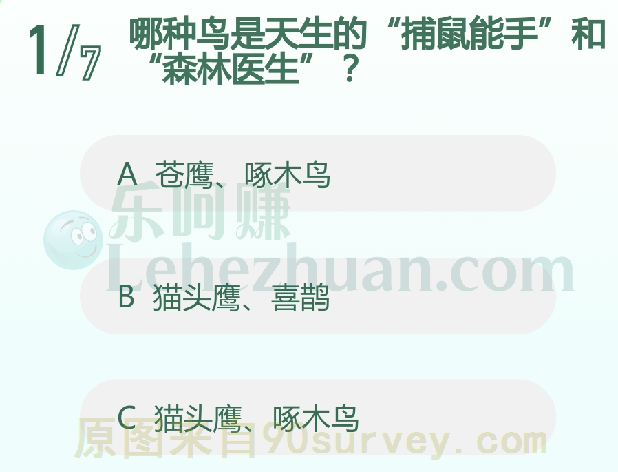哪种鸟是天生的“捕鼠能手”和“森林医生”?