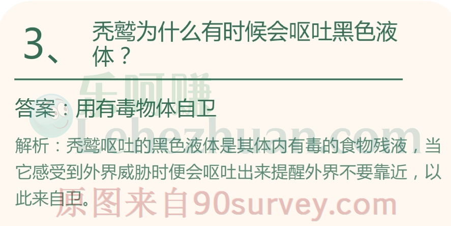 秃鹫为什么有时候会呕吐黑色液体?