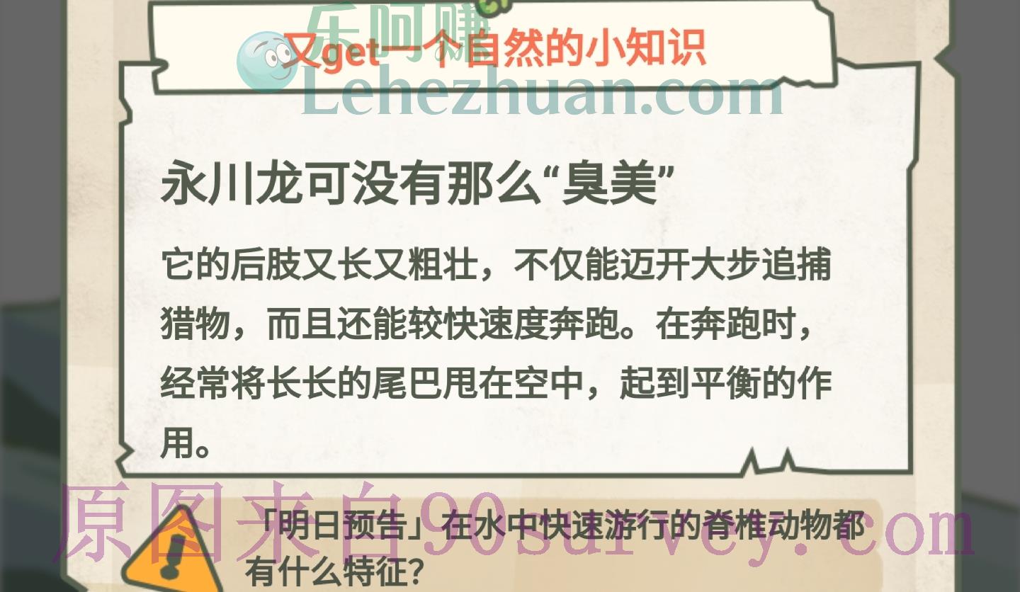 永川龙可没有那么臭美 永川龙可没有那么臭美