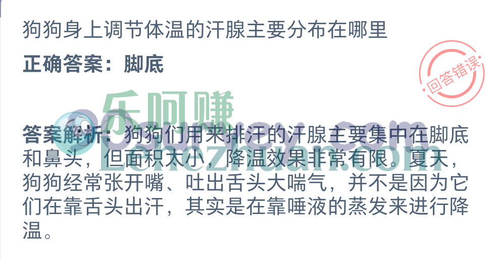 狗狗身上调节体温的汗腺主要分布在哪里