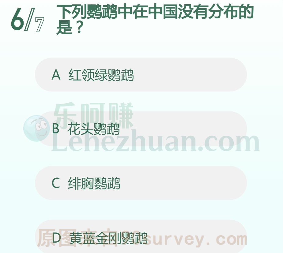 下列鹦鹉中在中国没有分布的是?
