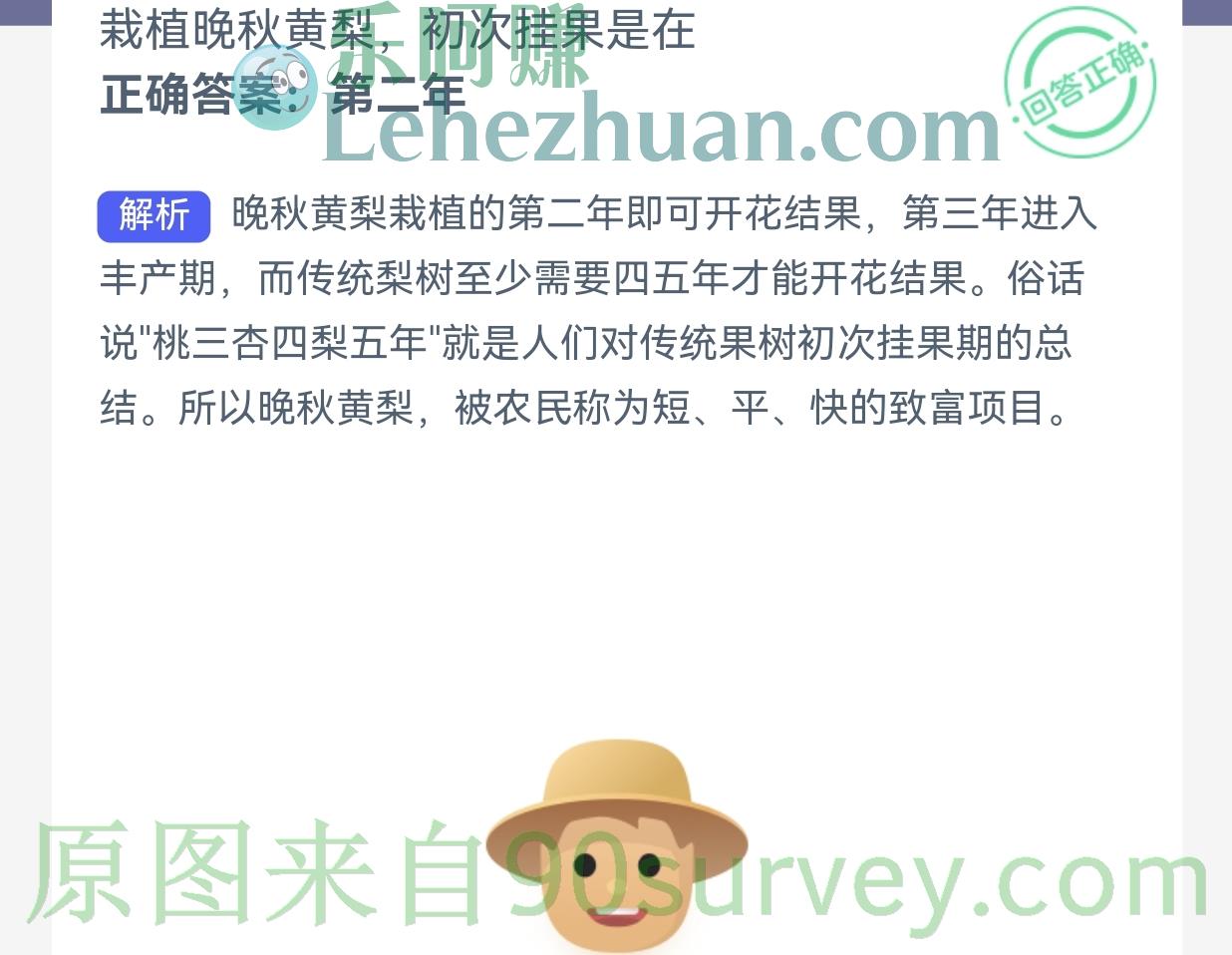 栽植晚秋黄梨初次挂果是在什么时候?