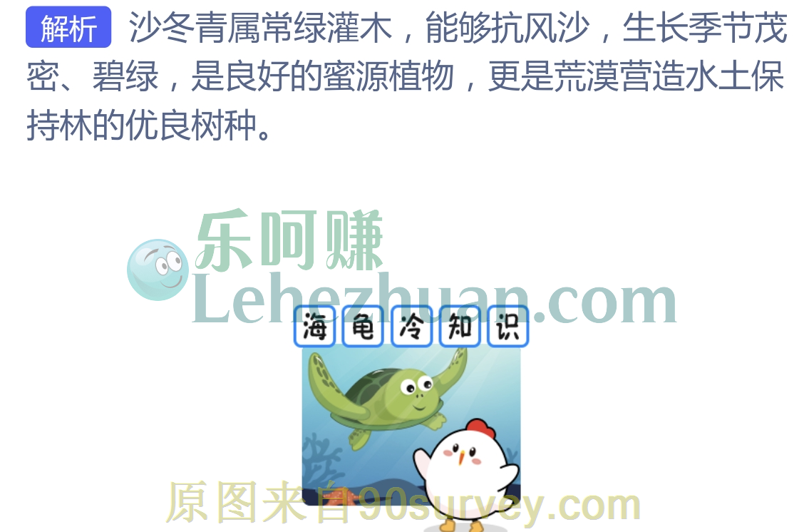 哪种荒漠植物可以四季常绿？