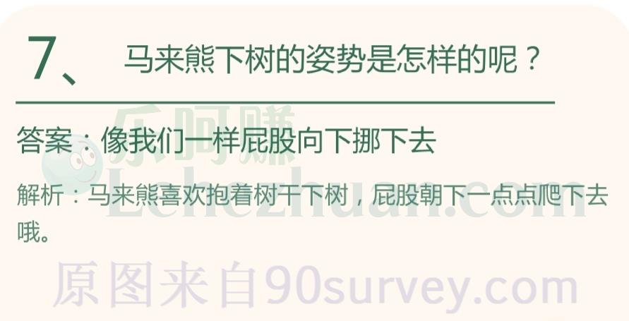 马来熊下树的姿势是怎样的呢？