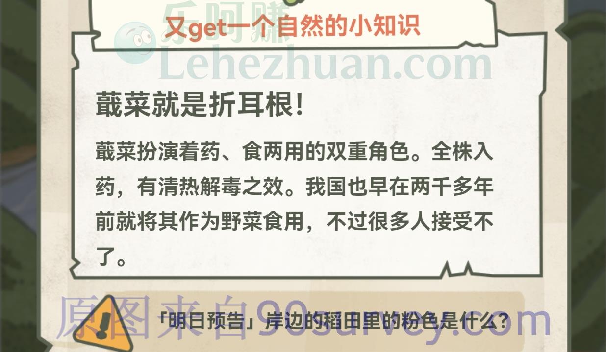 最难吃TOP3蔬菜是?
