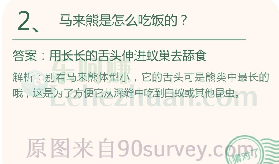 马来熊是怎么吃饭的?