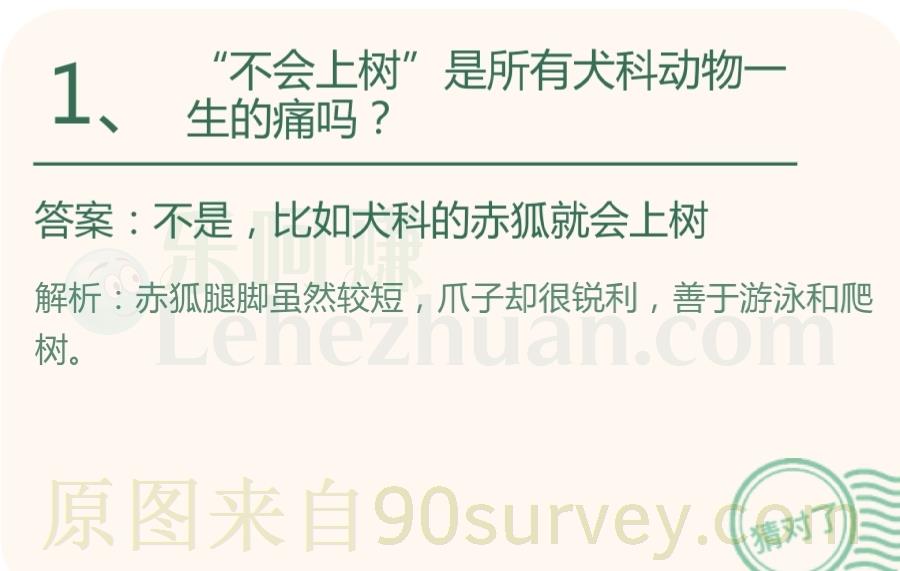 "不会上树"是所有犬科动物一生的痛吗?