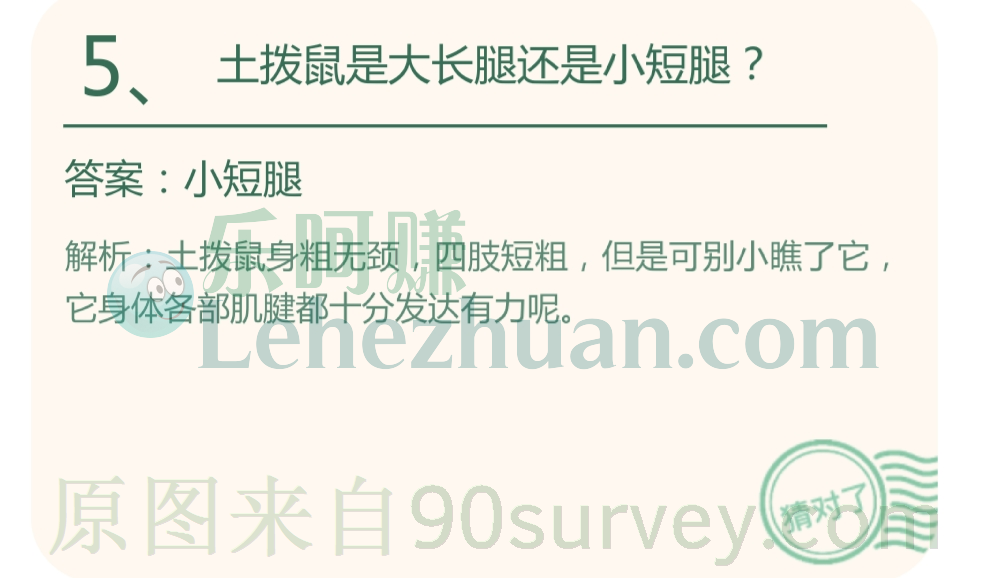 土拨鼠是大长腿还是小短腿？