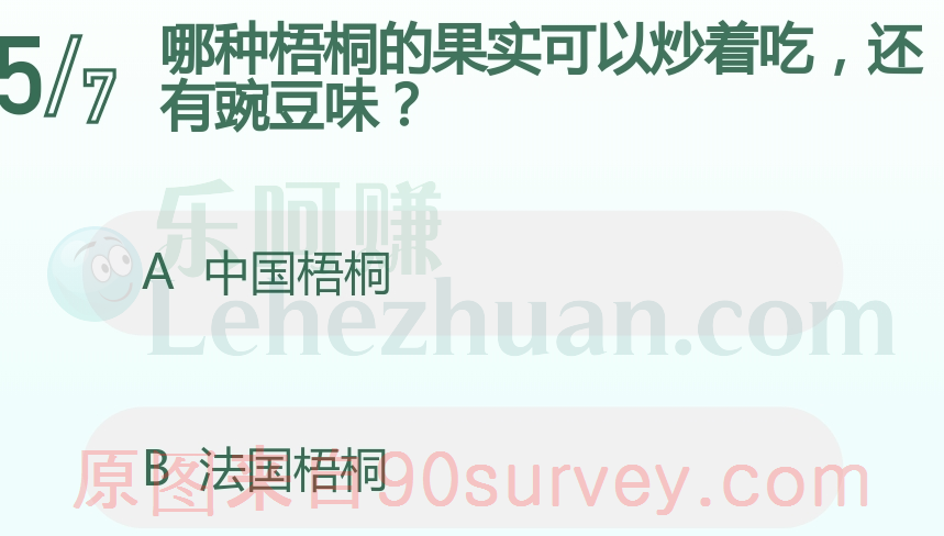 哪种梧桐的果实可以炒着吃，还有豌豆味？
