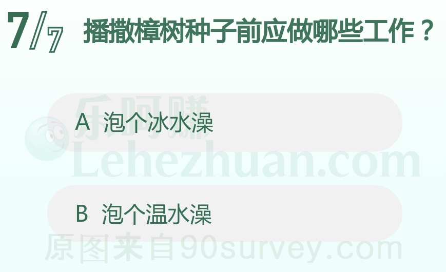 播撒樟树种子前应做哪些工作？