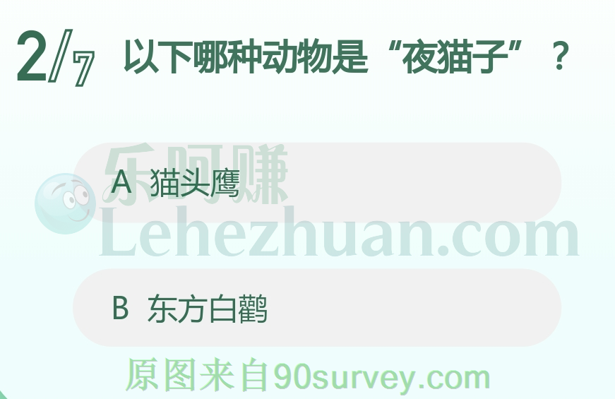以下哪种动物是“夜猫子”?