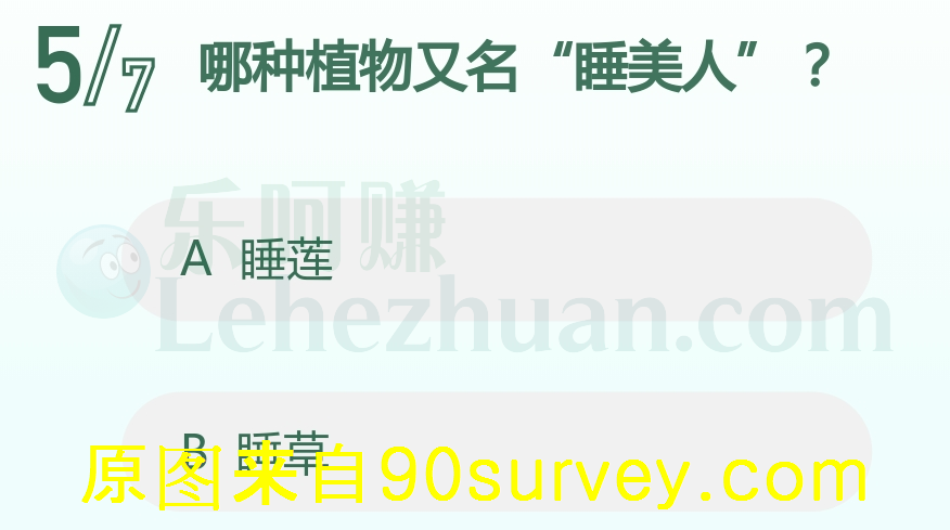 哪种植物又名“睡美人”？