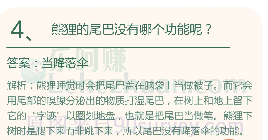 熊狸的尾巴没有哪个功能呢？