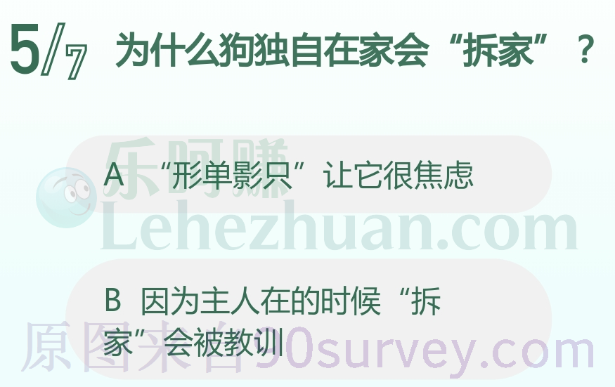 为什么狗独自在家会拆家?