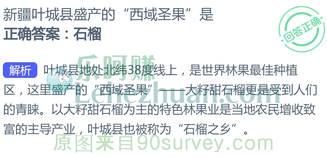 新疆叶城县盛产的“西域圣果”是？