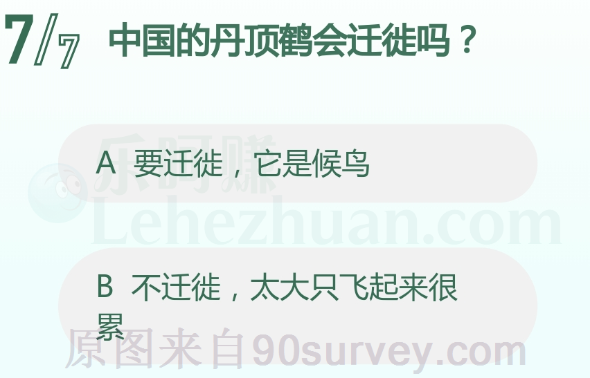 中国的丹顶鹤会迁徙吗？