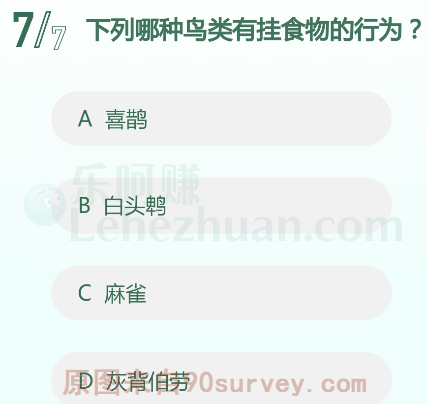 下列哪种鸟类有挂食物的行为？