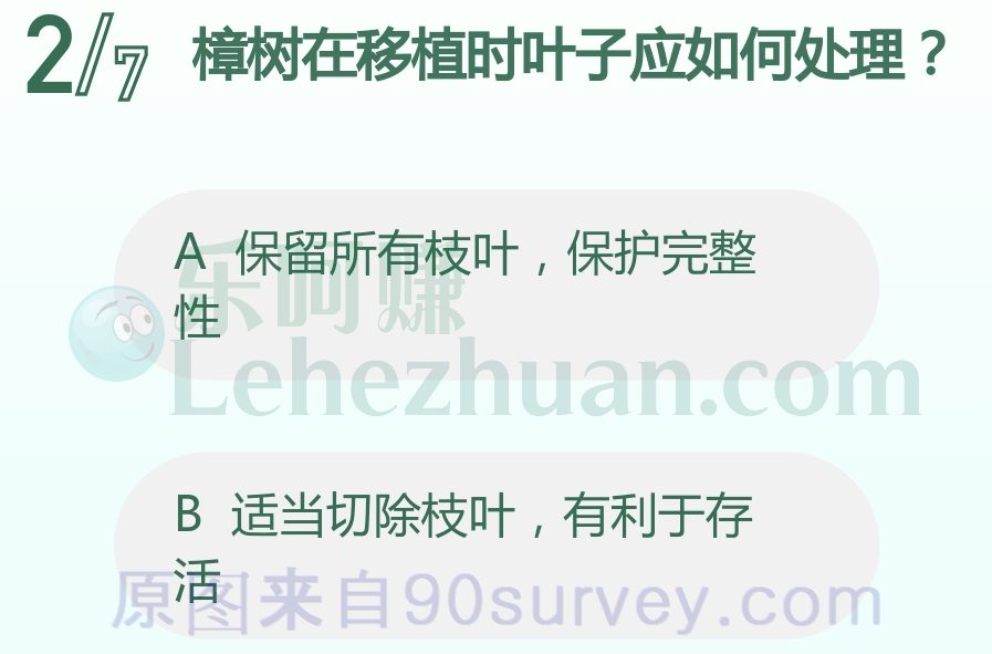 樟树在移植时叶子应如何处理？