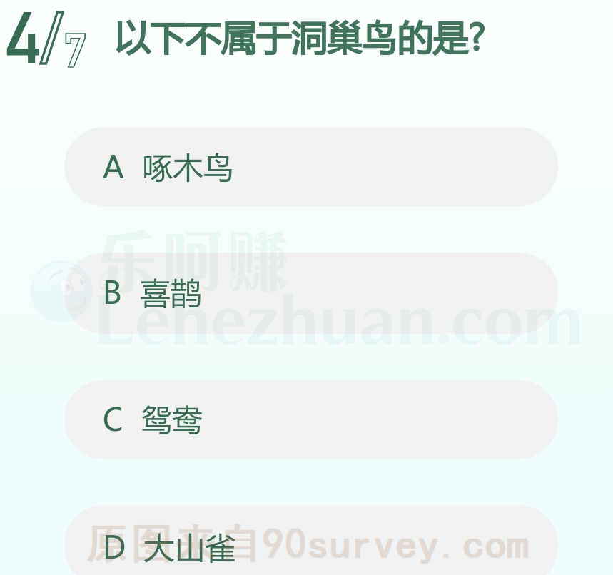 以下不属于洞巢鸟的是?