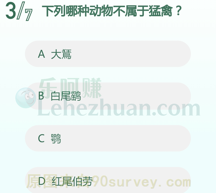 下列哪种动物不属于猛禽?
