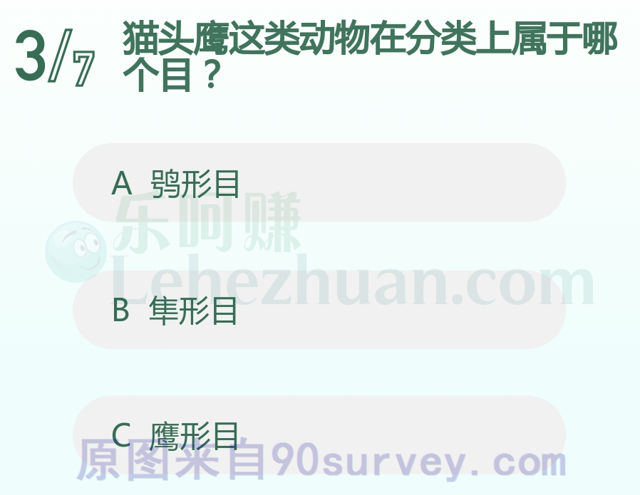 猫头鹰这类动物在分类上属于哪个目?