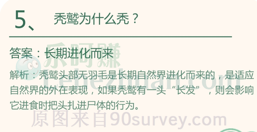秃鹫为什么秃?