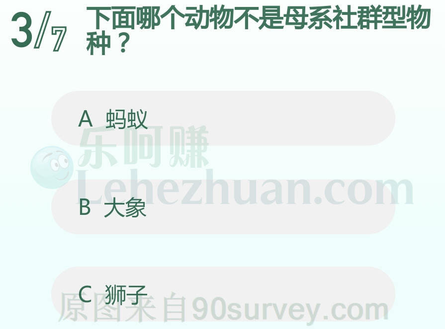 下面哪个动物不是母系社群型物种？
