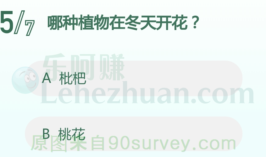 哪种植物在冬天开花？