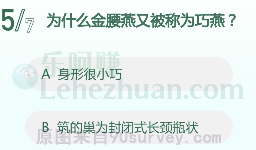 为什么金腰燕又被称为巧燕?
